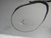 фото thumb №15, Mercedes sl r231 w231 231 дверь правый перед правое передние 2317200205