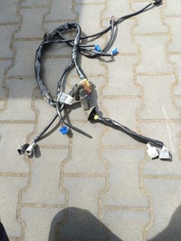 фото thumb №1, Джгут двері scania r ngs model 2243881 2533666