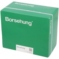 Купити Форсунка borsehung b11157, фото thumb