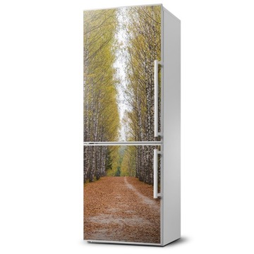 Magnes na lodówkę magnetyczna Las brzozowy 60x180