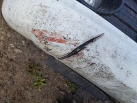 фото thumb №7, Suzuki swift mk6 бампер перед передний kompletny