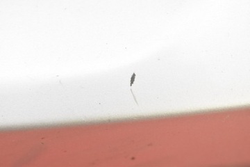 фото thumb №8, Бампер перед переднее 354/7 pdc bmw x5 e53 99-06