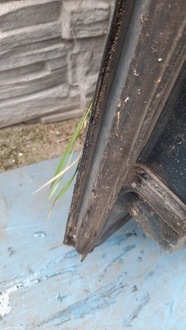 фото thumb №16, Дверь задняя задние левая vw bora 00r kombi