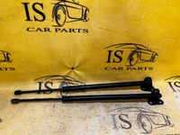 фото thumb №1, Комплект амортизатори кришки багажника ford escape mk4