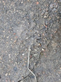 Дроти підсилювача master 3 movano master 3 комплект європа Зі Шроту, фото thumb