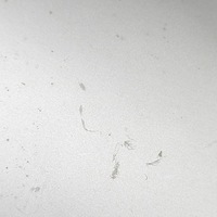 фото thumb №7, Kia soul 2016 інший елементи тунель середнього