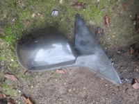 фото thumb №1, Audi a6 c5 зеркало правое