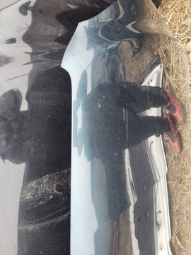 фото thumb №7, Toyota rav 4 iv iii gen. капот кришка двигуна код фарби - 6t3