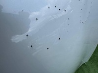 фото thumb №11, Капот renault kadjar 15-22r 651229810r