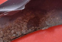 фото thumb №16, Крила лівий перед передній h3 ford focus c-max mk1 1 i 03-07