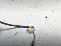 фото thumb №4, Citroen оригінальний номер 967732288003