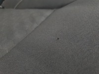 фото thumb №4, Заднее сиденье задняя ремни сиденья ii ряд sandero ii dacia lift