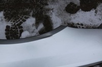 фото thumb №9, Крыло переднее левый subaru legacy iv 39d