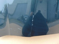 фото thumb №8, Крила правий перед vw passat b7 3aa