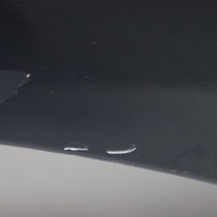 фото thumb №11, Bmw z4 e85 кришка капот двигуна toledoblau - 482