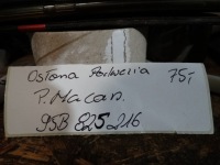 фото thumb №4, Idealna защита подвеска porsche macan 1