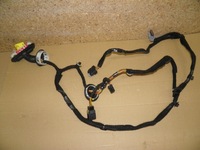 фото thumb №1, Электропроводка дверь левых передних citroen ds4