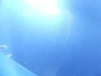 Капот передняя ford windstar 2 01r niebieski Недорого, фото thumb