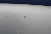 фото thumb №10, Mercedes clk ii c209 w209 капот кришка відсік двигуна