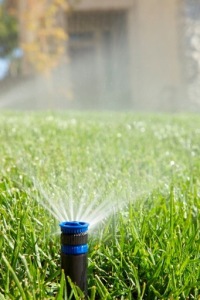 Дождеватель Rain Bird UNI-Spray 400 с головкой для R-VAN и статических форсунок