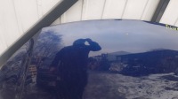 фото thumb №6, Vw tiguan i 5n 07-15 капот кришка двигуна гарна демонтаж