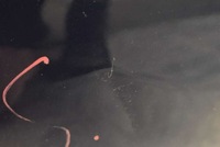 фото thumb №8, Двері ліва перед передні vr.422 lancia delta 3 iii 5d hb 08-14