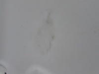 Ford galaxy mk4 15-23 стеля стеля кондиціонер em2b-u51916-cf Київ, фото thumb