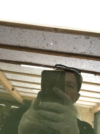 фото thumb №7, Скло дахова люк bmw f31 7261732