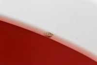 фото thumb №3, Крило лівий перед переднє білий tesla модель s рестайлінг 16-21