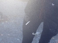 Капот кришка двигуна mercedes e klasa 212 2009-2013r Київ, фото thumb