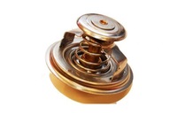 фото thumb №1, Термостат renault magnum premium major maxter 83st