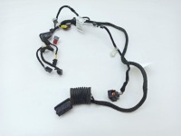 Fiat ducato 2017 правий сторона джгут трубопровід двері передніх Доставка, фото thumb