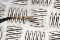 фото thumb №8, Volkswagen id.3 e11 pro задній бампер датчики паркування проводка 10c97