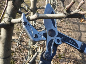 Двуручные секаторы, садовые ножницы с наковальней, ИТАЛЬЯНСКИЙ VESCO T-REX T20/80см