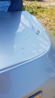 фото thumb №6, Крышка багажника багажника peugeot 508 i sedan