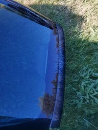 фото thumb №8, Renault laguna iii крышка багажника багажника задняя hb teb66