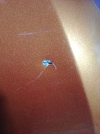 фото thumb №6, Seat ibiza iv 6j 08/12 капот крышка крышка багажника перед ls3x