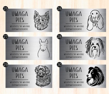 Tabliczka 20x10 cm UWAGA PIES Doberman LAMINAT Z GRAWEREM