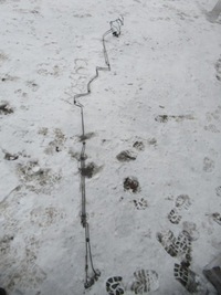 фото thumb №1, Ford custom шланг тормозной