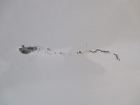 фото thumb №6, Двері ліві передні peugeot 5008