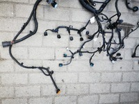 фото thumb №5, Renault koleos ii 2.0 dci m9r w730 жгут электропроводка двигателя