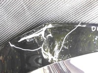 фото thumb №5, Капот крышка двигателя skoda octavia iv 4 19-