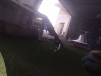 фото thumb №5, Дверь левая перед bmw x2 u10 475 black sapphire металлик