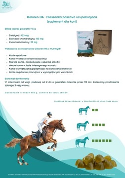 Geloren Horse Ha Contipro желе для суставов яблочное 450 г. 60 шт.