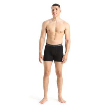 Icebreaker Anatomica Boxer IB1030290101 S боксеры