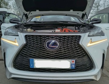 фото thumb №5, Скляний дах панорама чверть повний зад стійка поріг pas задній lexus nx 083