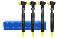 фото thumb №1, Восстановленный инжектор delphi embr00002d