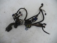 фото thumb №1, Жгут дверь левый перед latitude 241253134r