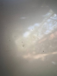 Крышка передняя капот двигателя fiat stilo 647 wwa Киев, фото thumb