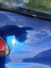 фото thumb №8, Seat ibiza iii крышка багажника